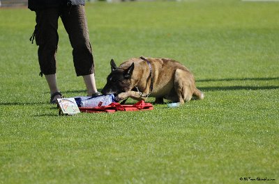 Remise des Prix 132.JPG - CHIENPLUS.COM